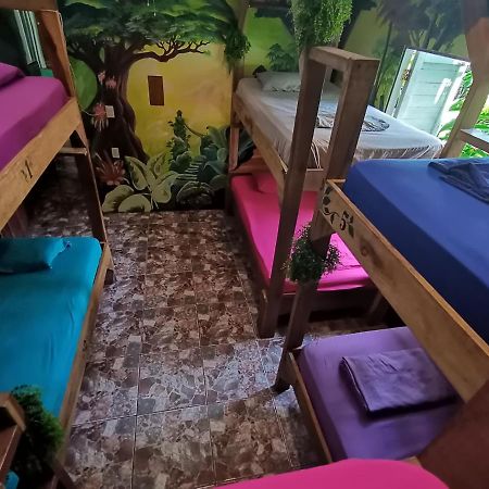 Oasis Beachfront Hostel プエルト・リモン エクステリア 写真