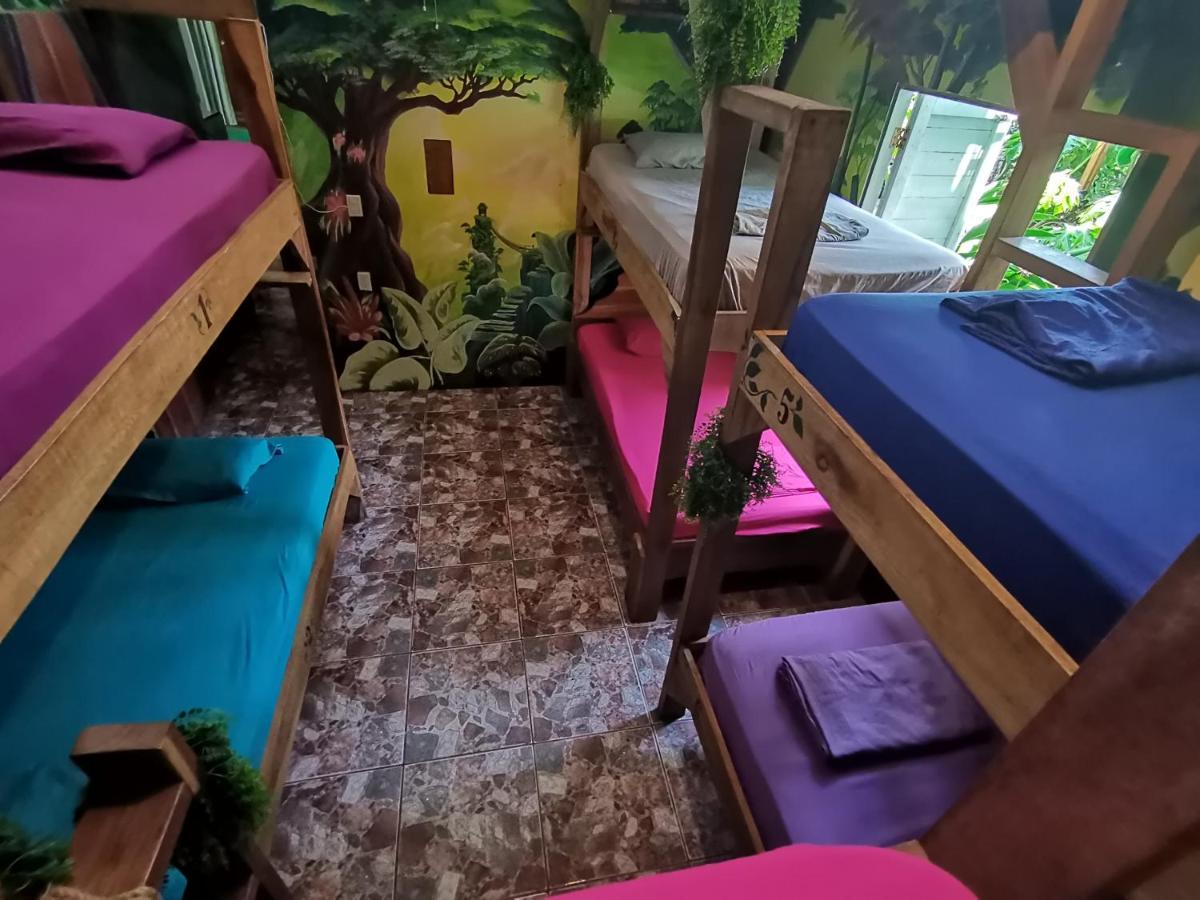 Oasis Beachfront Hostel プエルト・リモン エクステリア 写真