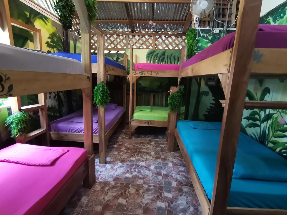 Oasis Beachfront Hostel プエルト・リモン エクステリア 写真