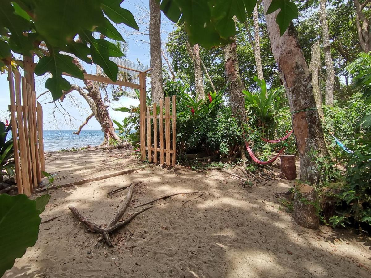 Oasis Beachfront Hostel プエルト・リモン エクステリア 写真