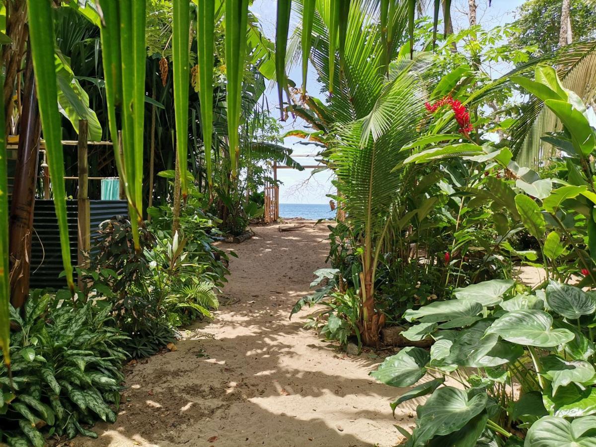 Oasis Beachfront Hostel プエルト・リモン エクステリア 写真