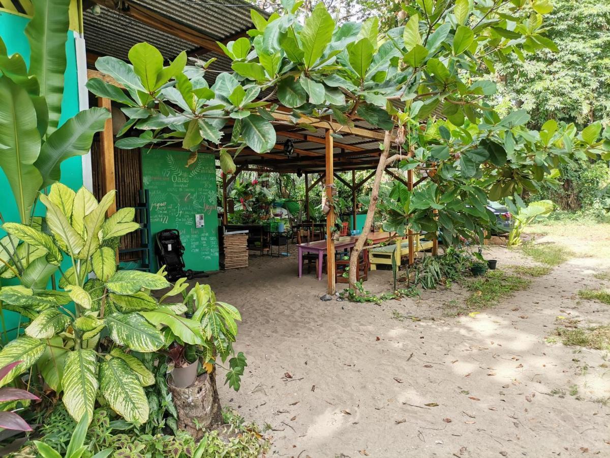 Oasis Beachfront Hostel プエルト・リモン エクステリア 写真