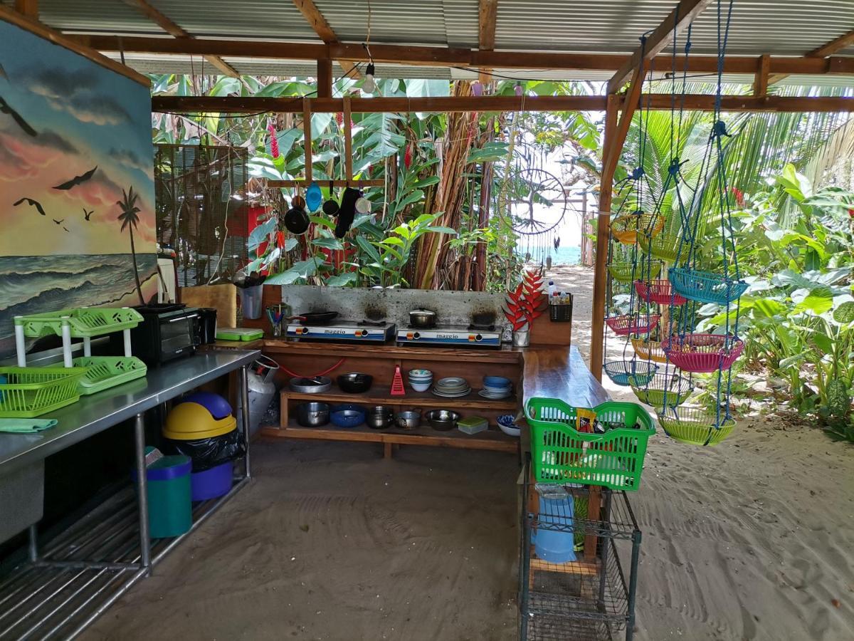 Oasis Beachfront Hostel プエルト・リモン エクステリア 写真
