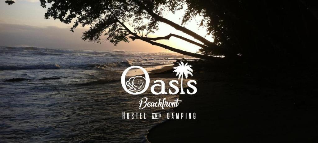 Oasis Beachfront Hostel プエルト・リモン エクステリア 写真