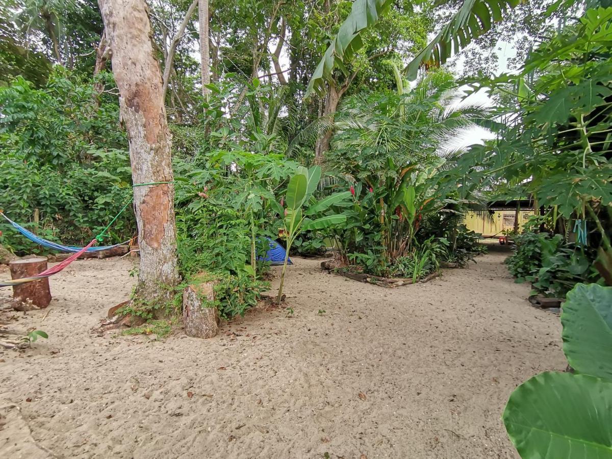 Oasis Beachfront Hostel プエルト・リモン エクステリア 写真