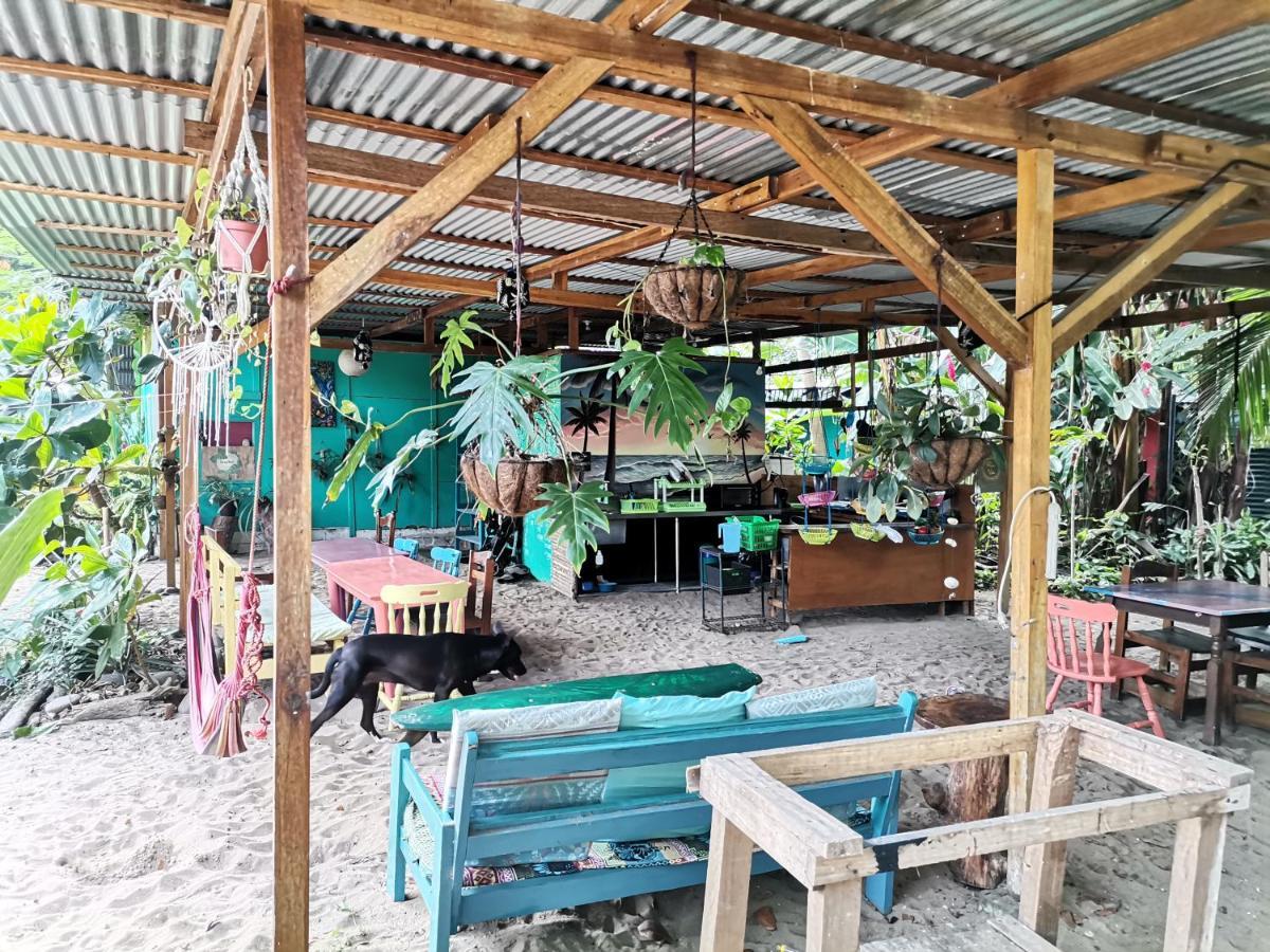 Oasis Beachfront Hostel プエルト・リモン エクステリア 写真