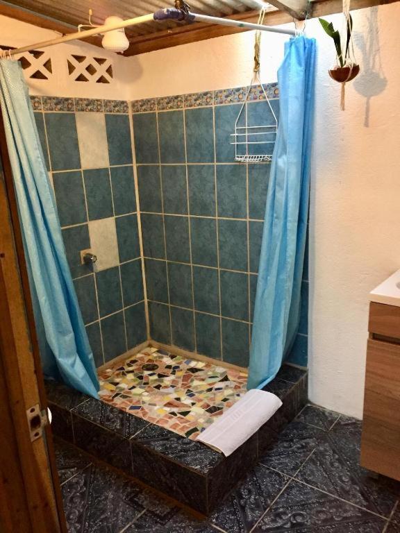 Oasis Beachfront Hostel プエルト・リモン エクステリア 写真